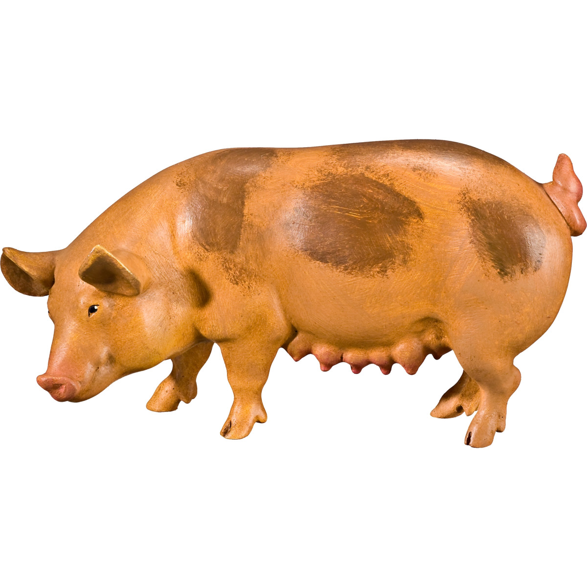 Cerda