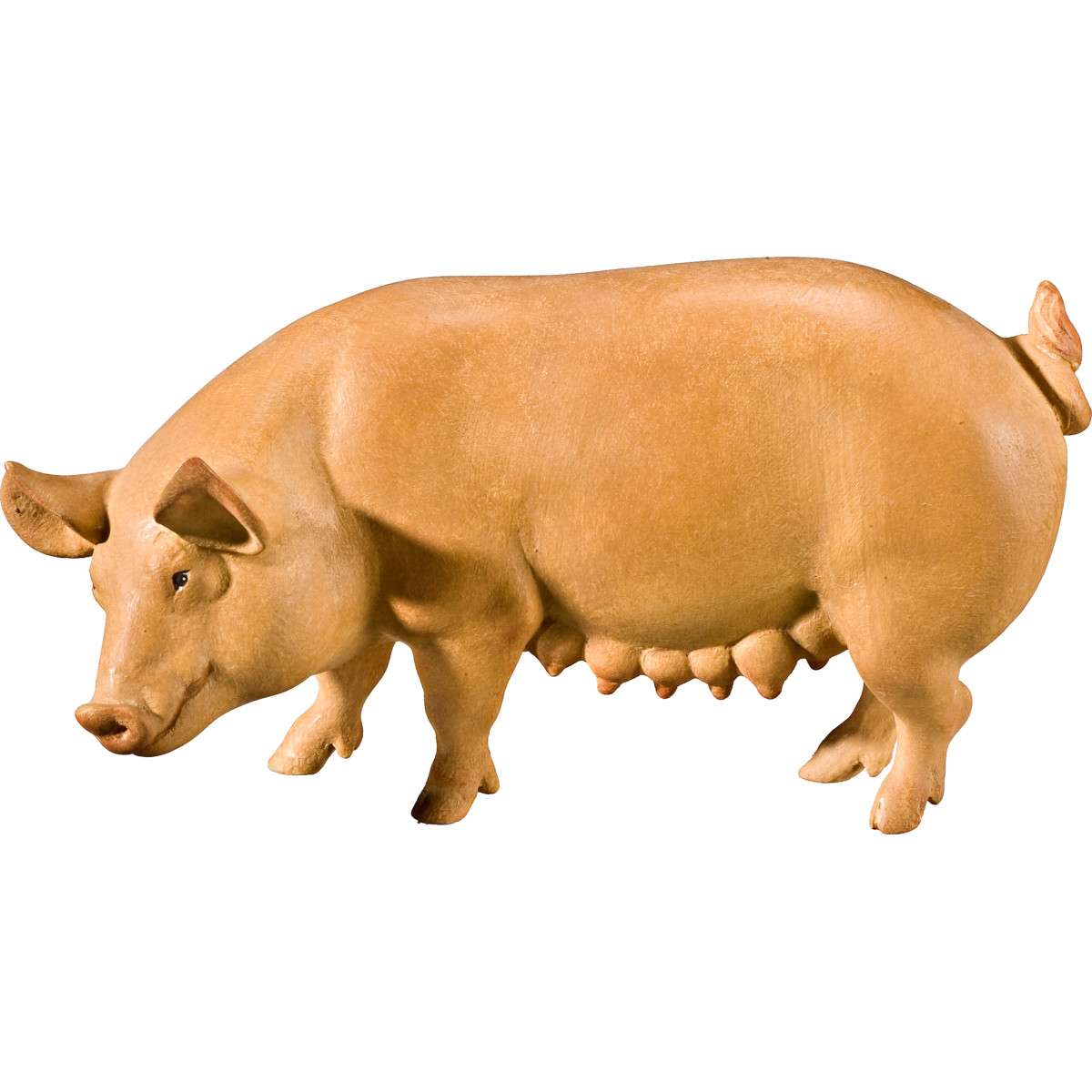 Sow
