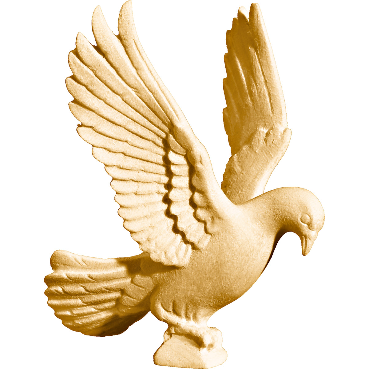 Taube fliegend