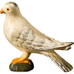 Paloma de pie