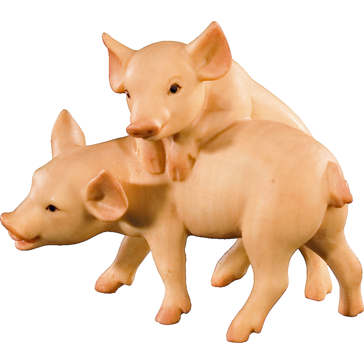 Grupo cochinillos