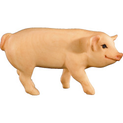 Maialino
