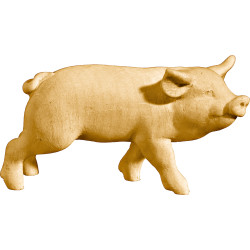 Ferkel