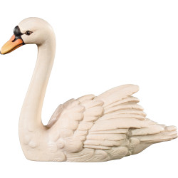 Swan looking forward