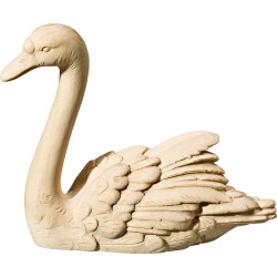 Schwan geradeausschauend