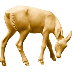 Corza