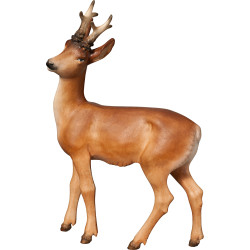 Roebuck