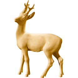 Roebuck