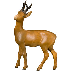 Roebuck