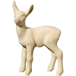 Piccolo di capriolo in piedi