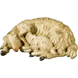 Double sheep lying