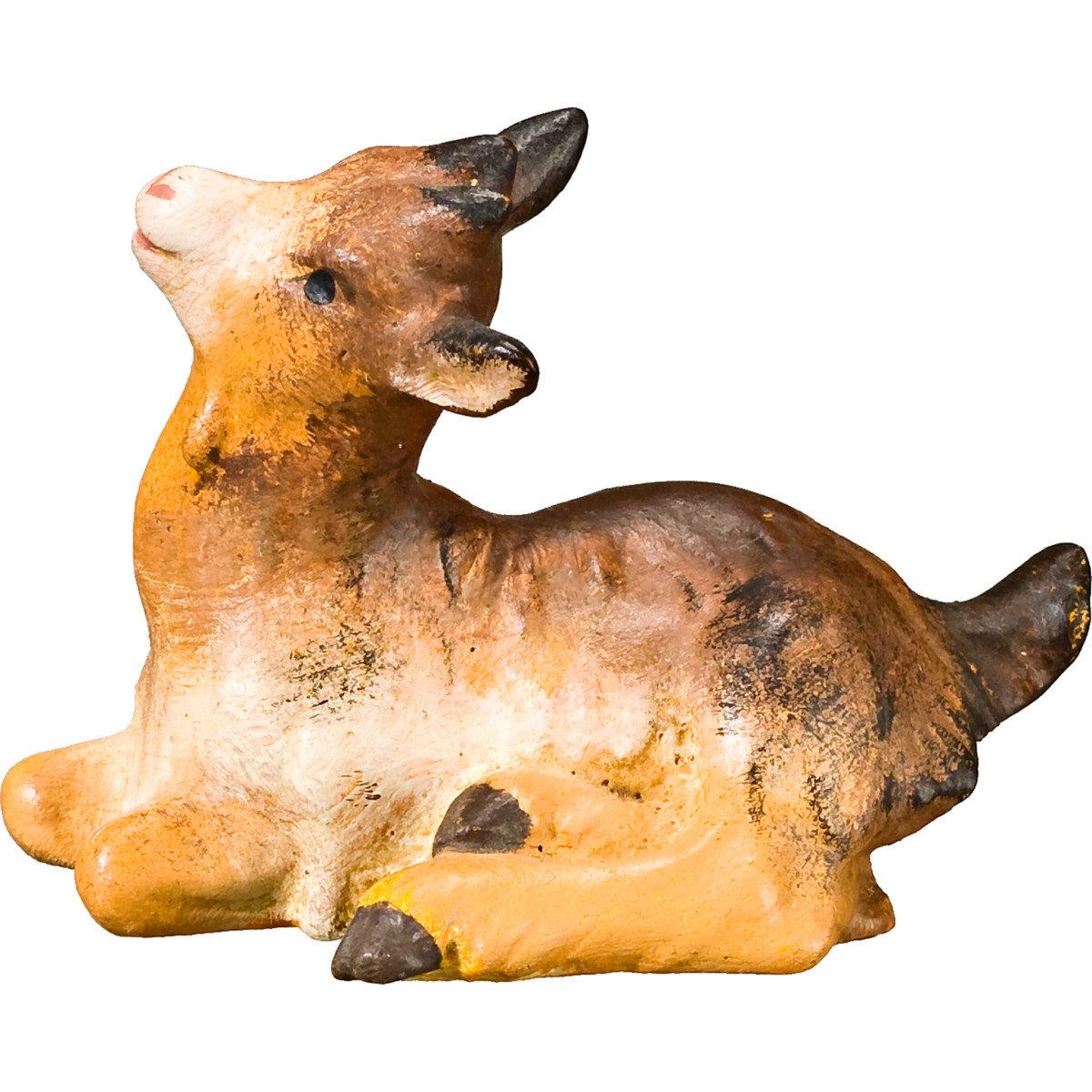 Goat kid lying