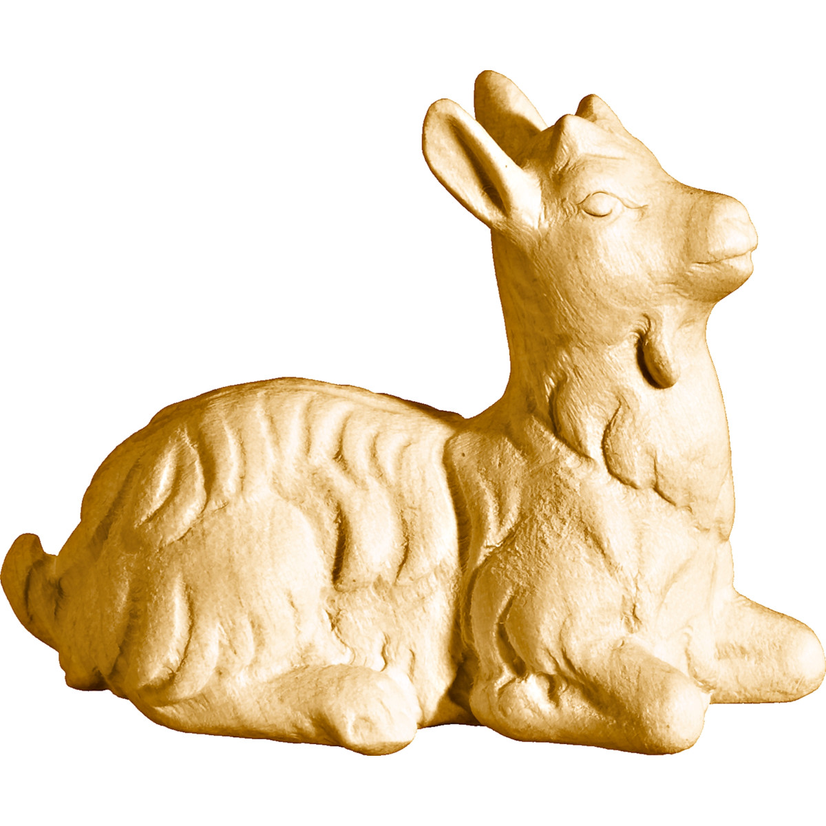 Capretto accovacciato