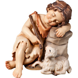 Jovem pastor adormecido