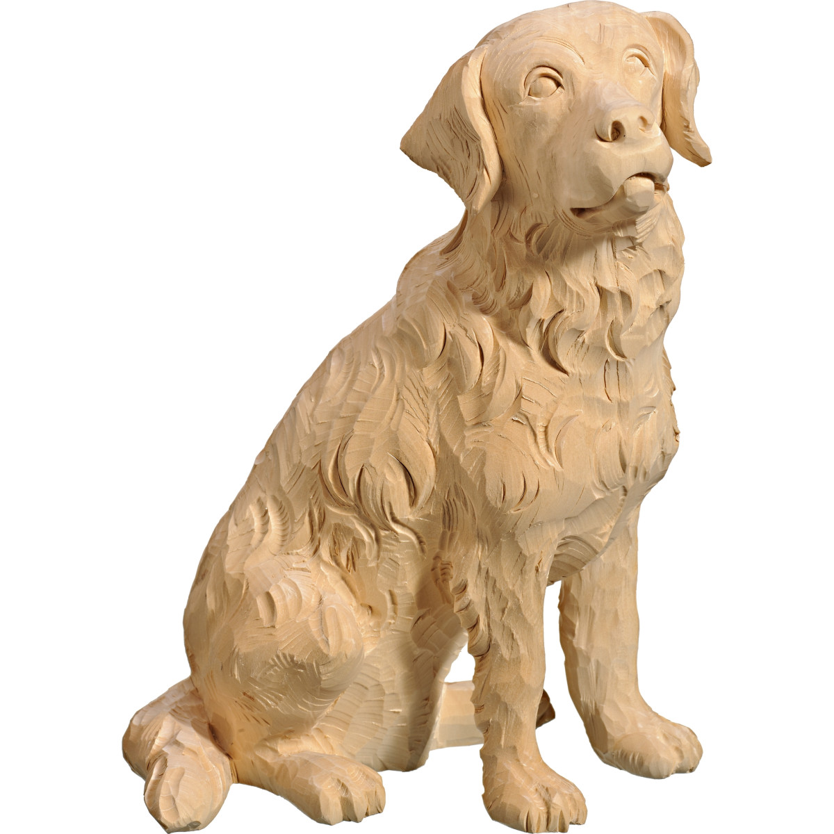 Boyero de Berna