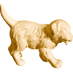 Golden Retriever puppy