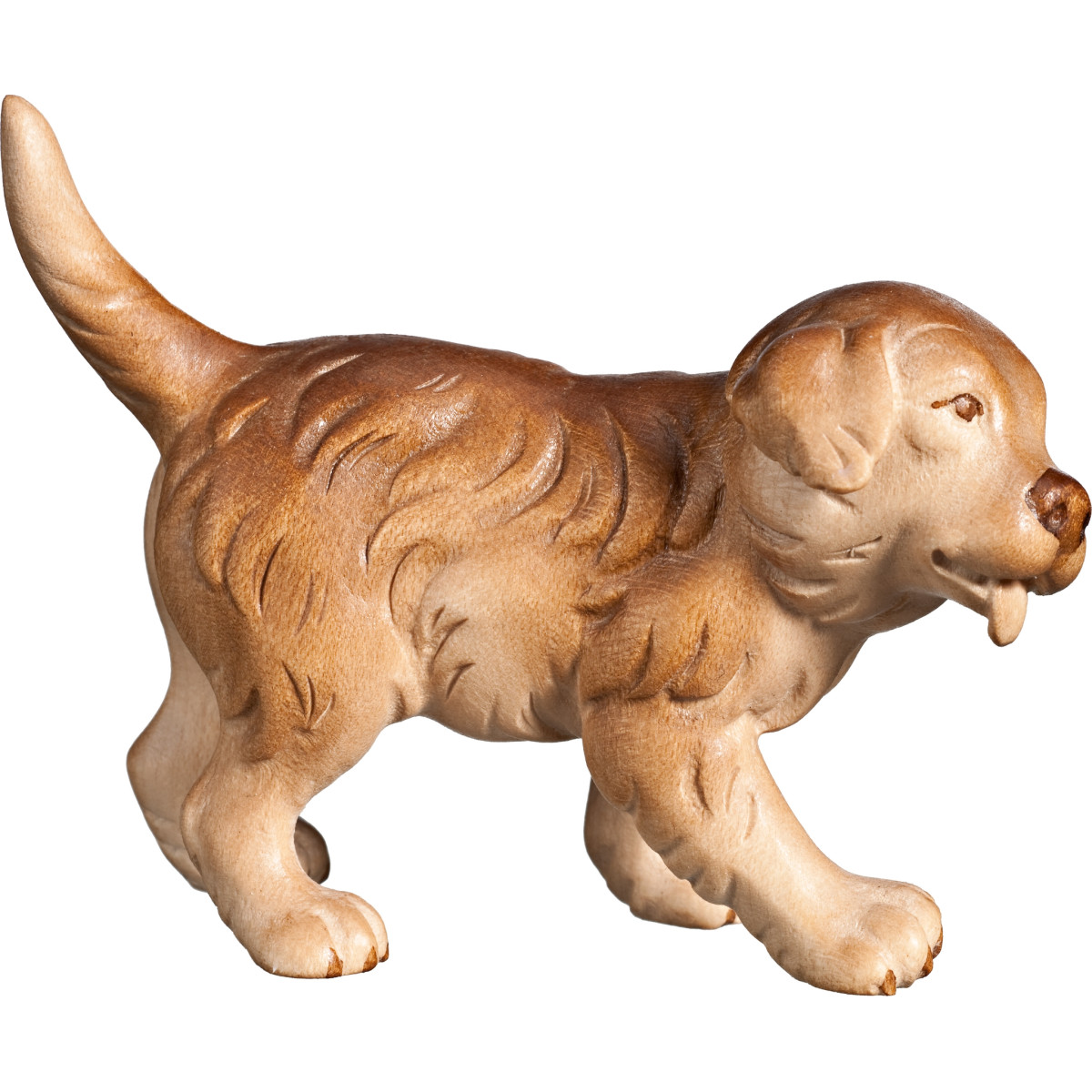 Golden Retriever puppy