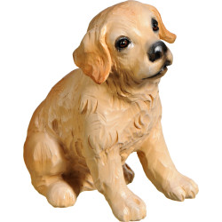 Golden Retriever puppy