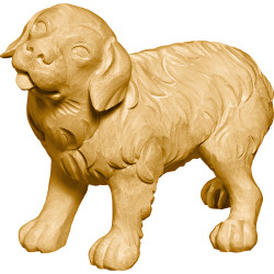 Cachorro São Bernardo