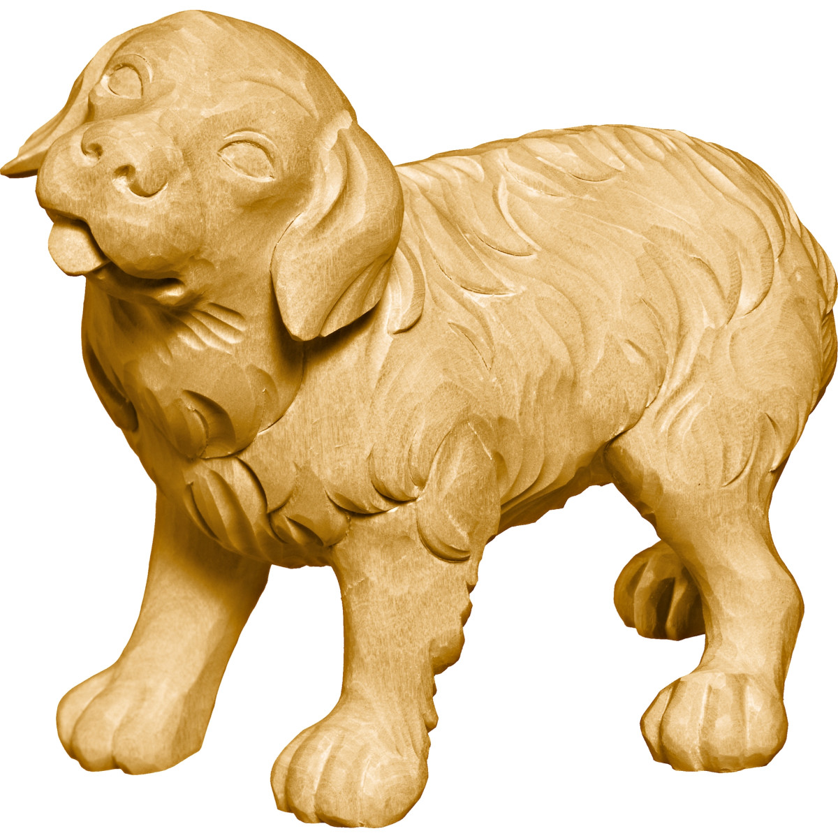 Cachorro São Bernardo