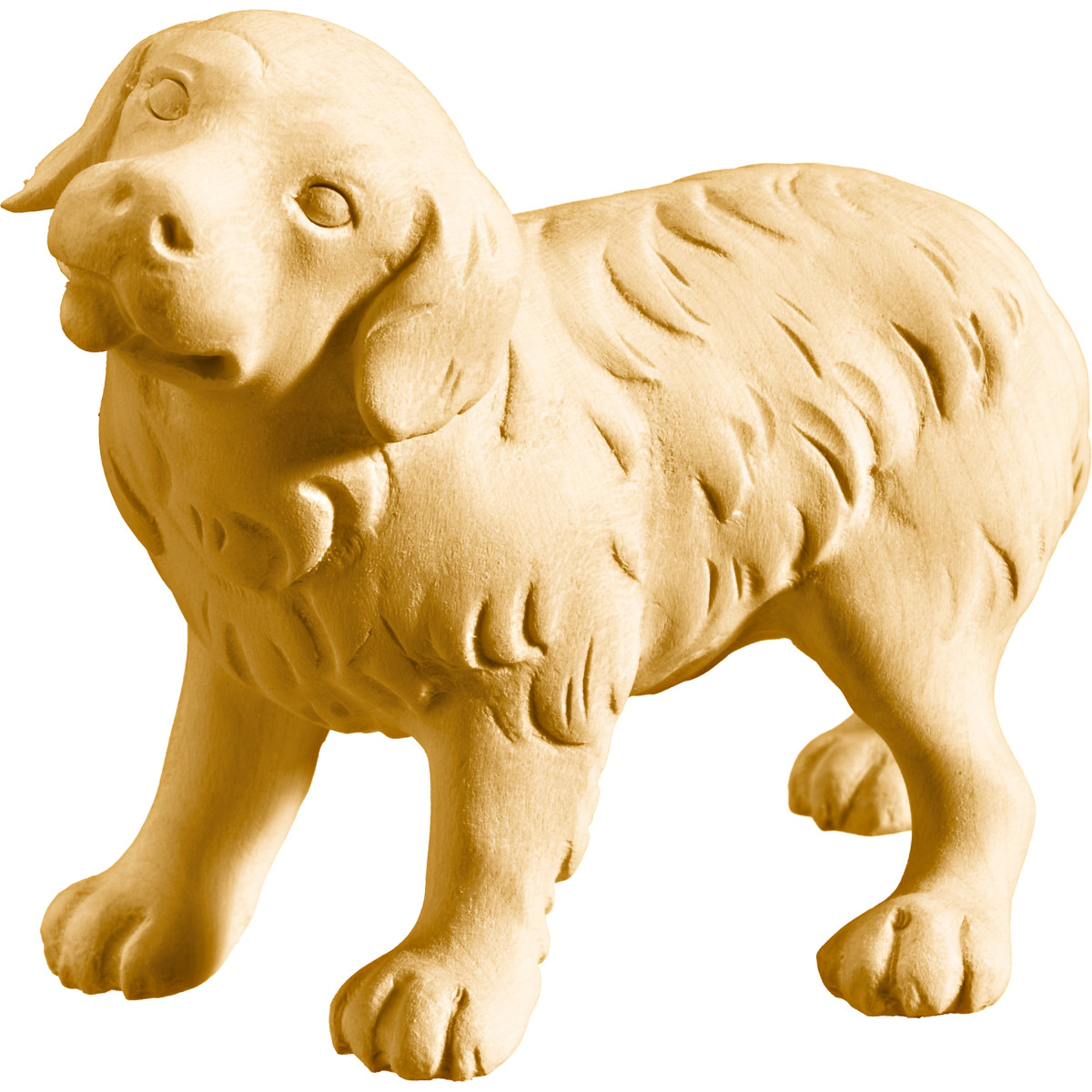 Golden Retriever puppy