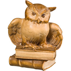 Coruja sobre livros em madeira | Bergland