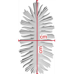 Aureola