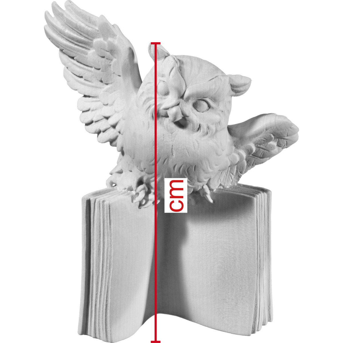 Búho volando sobre libro | Bergland