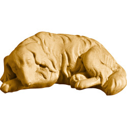 Perro tumbado