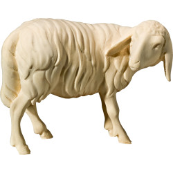 Sheep looking back (without base)