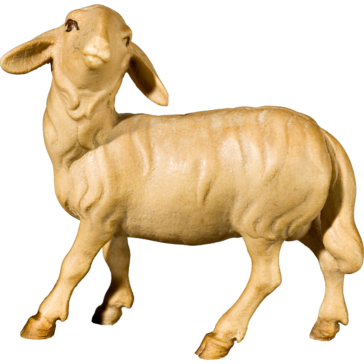 Oveja cabeza levantada (sin base)