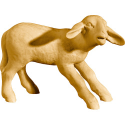 Lamm