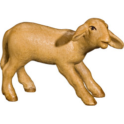 Cordero