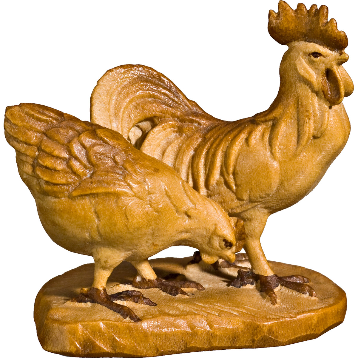 Grupo de pollos
