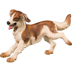 Shepherd's dog