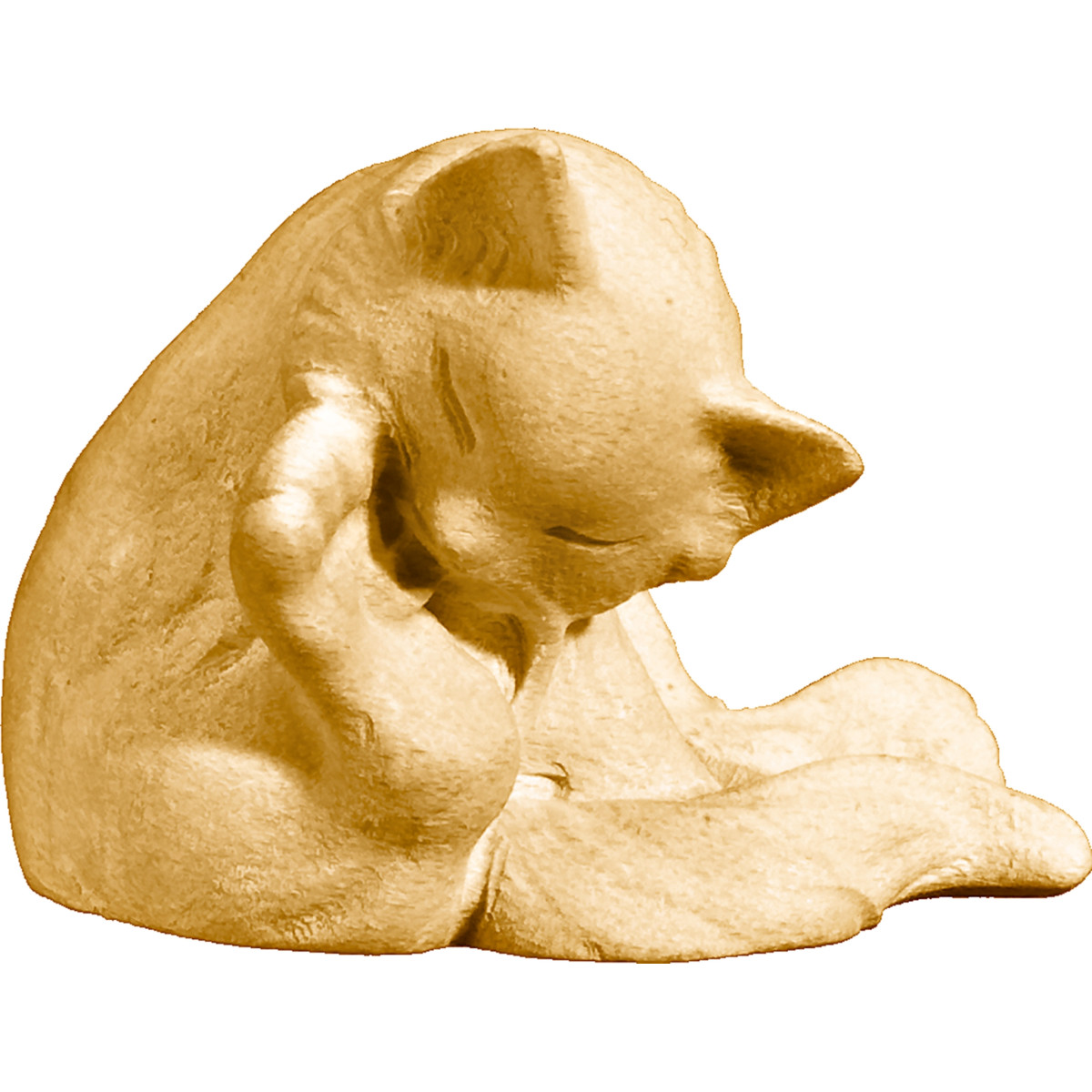 Gatito sentado