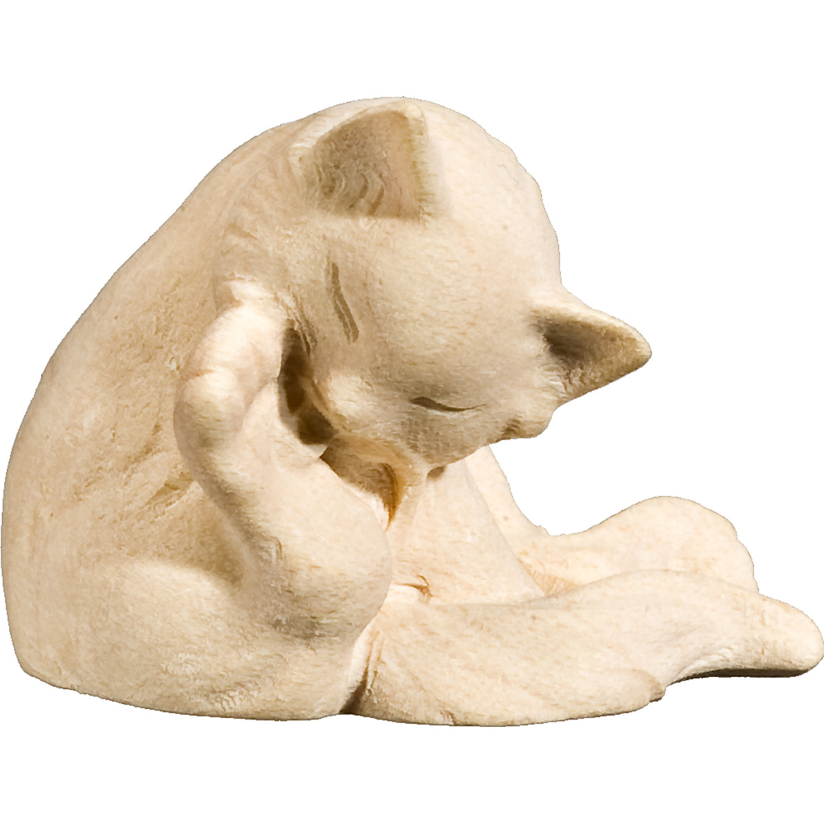 Gatito sentado