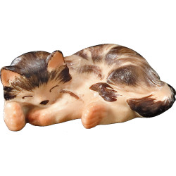 Kitten lying