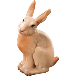 Rabbit sitting