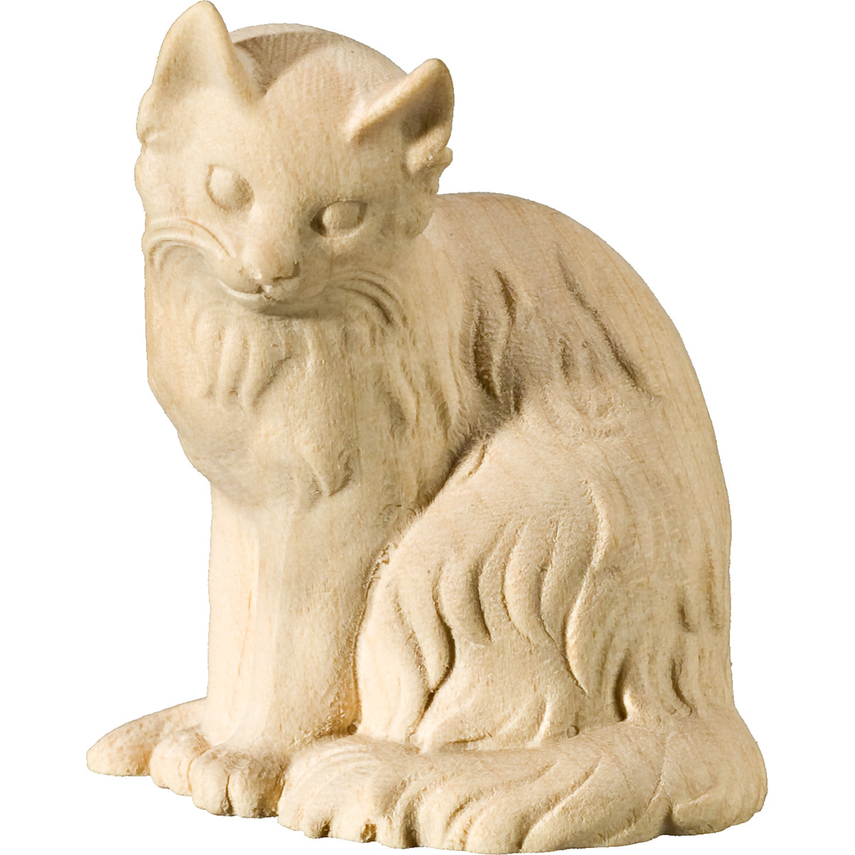 Gato sentado