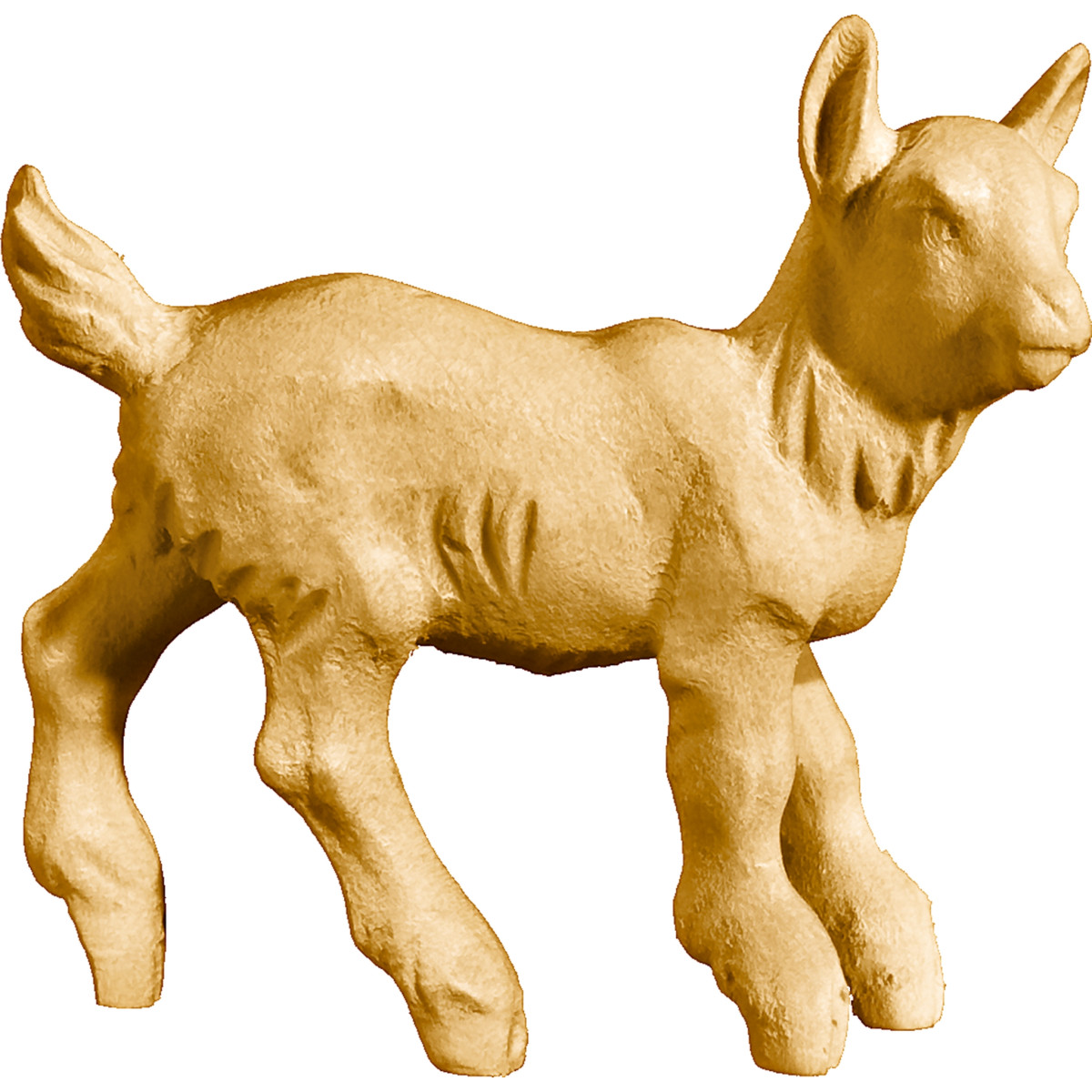 Cabrito