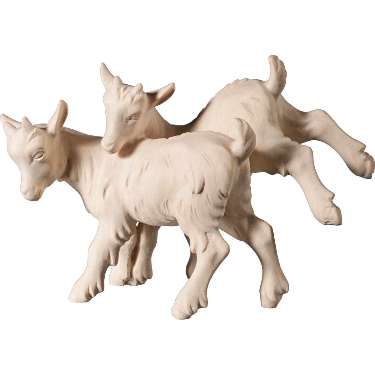Goat kid group