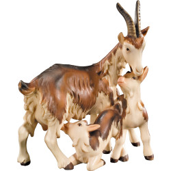 Grupo 3 cabras
