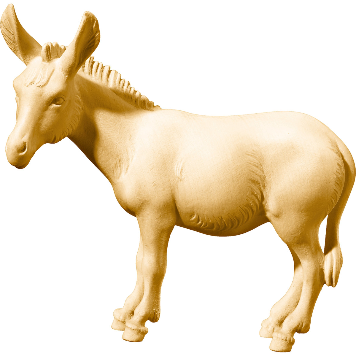 Burro