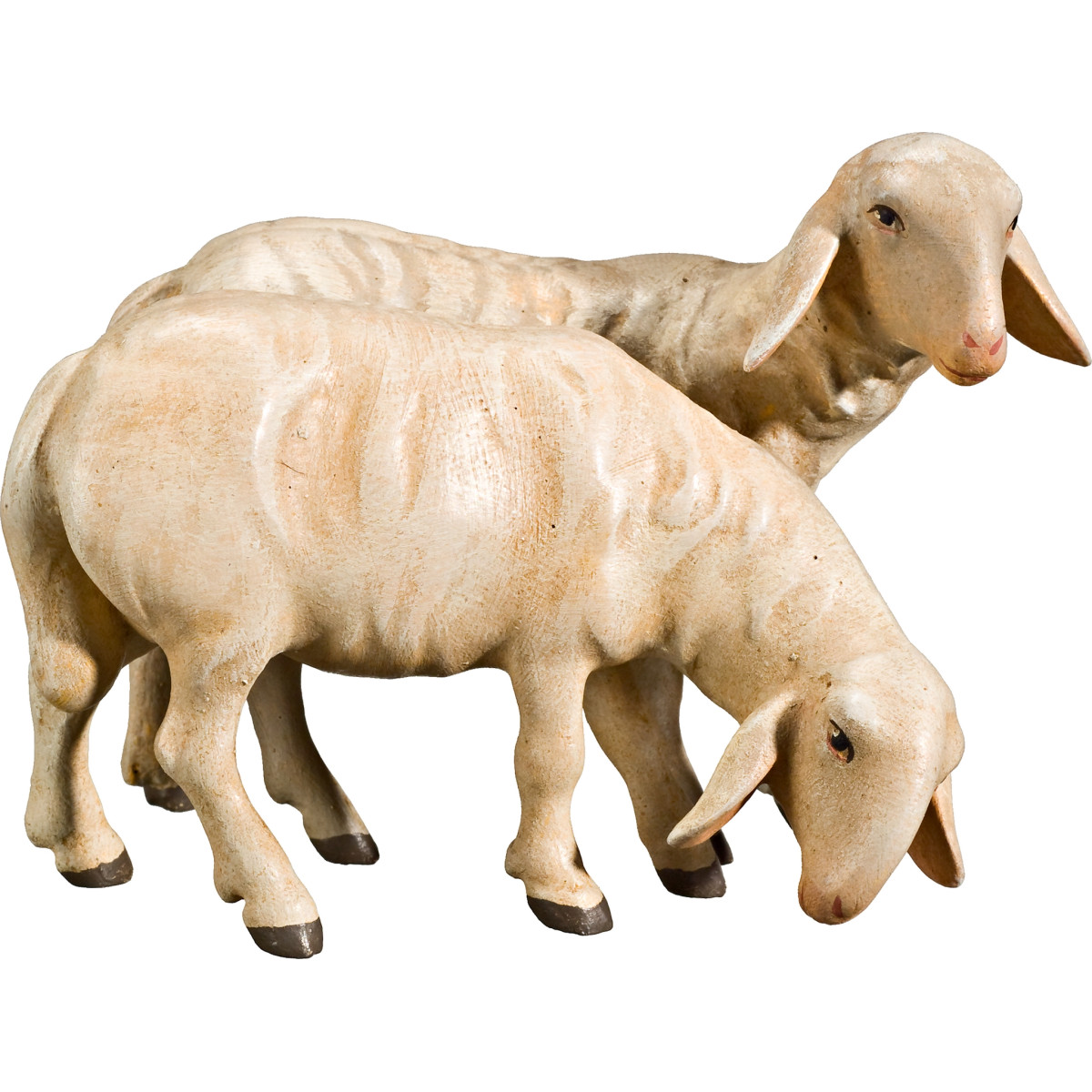 Doppelschaf