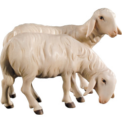 Doppelschaf