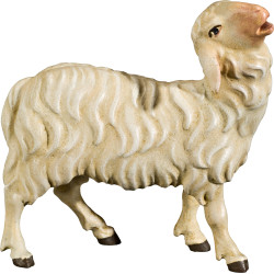 Schaf blökend