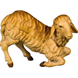 Schaf kniend