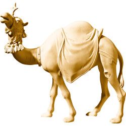 Camello (sin base)