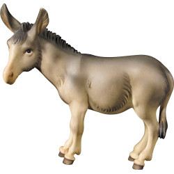 Burro